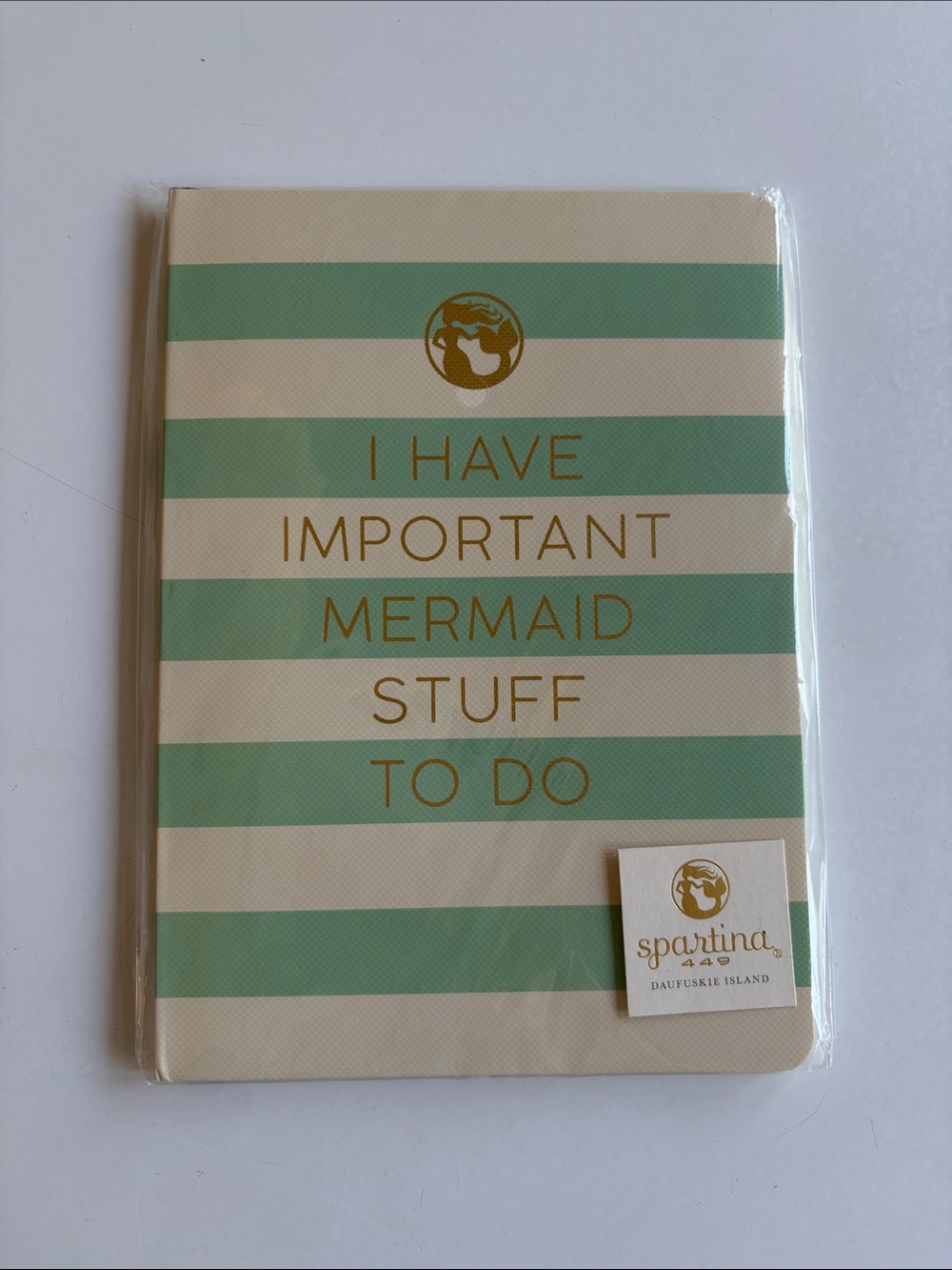 Spartina 449 Cream & Mint 'I Have Important Mermaid Stuff To Do' Notebook